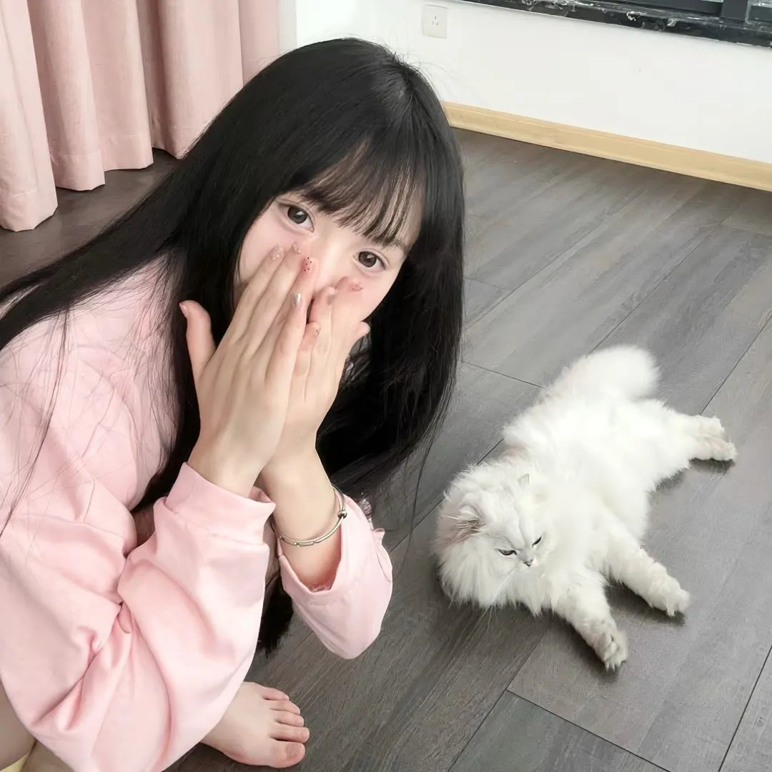 不负如来不负卿