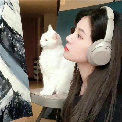 寻找完美情人